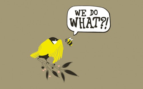 Parenting: Birds and bees talk