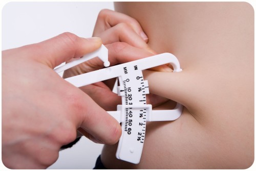 One third of US children 2 to 19 are considered overweight or obese by national standards