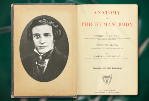 Henry Gray author of Gray's Anatomy text still used today