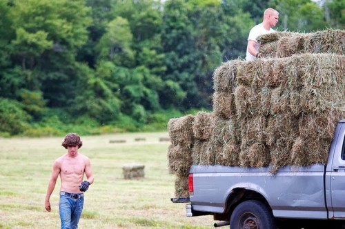 Teens hauling hay behind truck