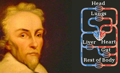 Sir William Harvey, physician to king George