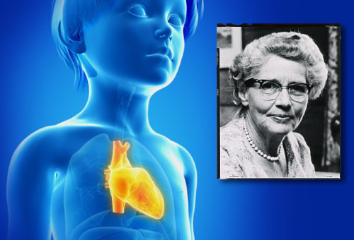 Helen Taussig, world renouned cardiologist, solved "blue-baby" problem